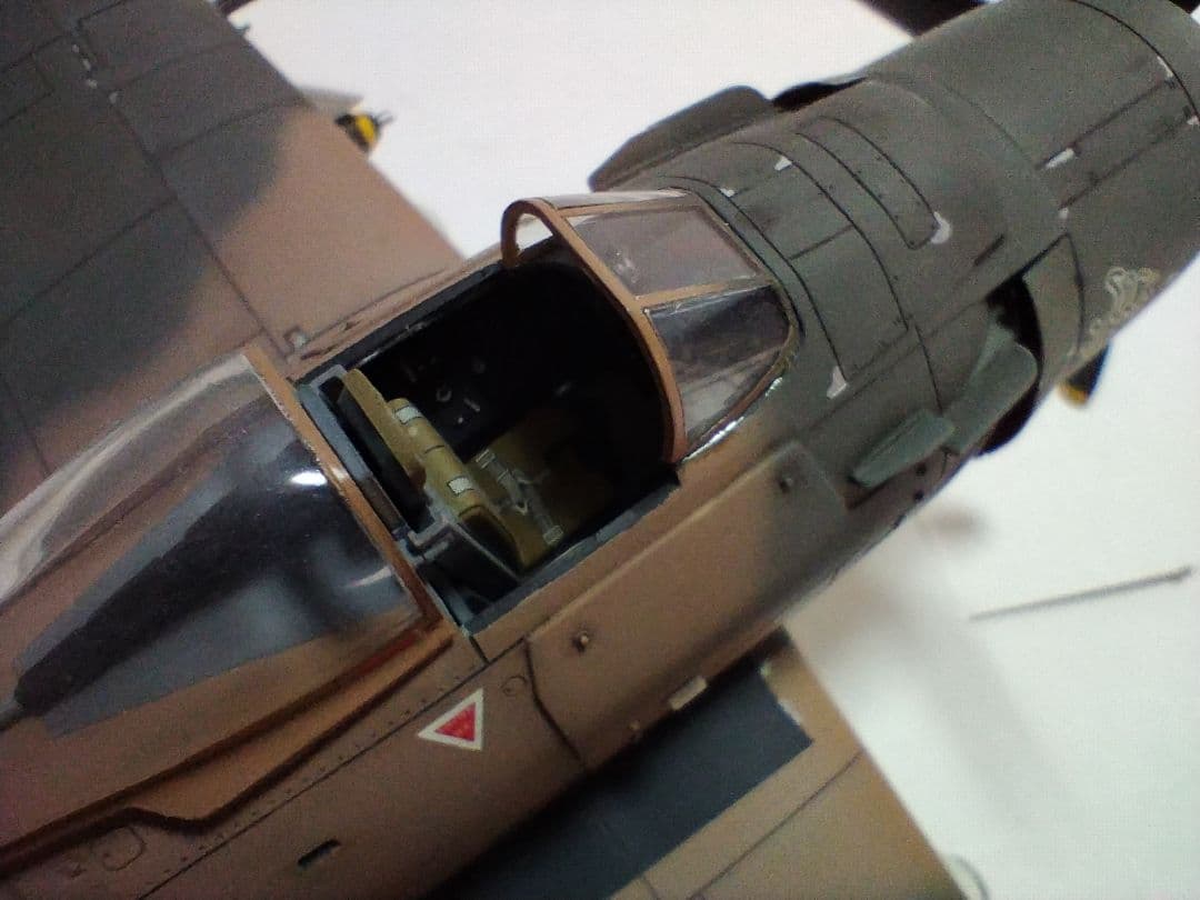 プラモデル完成機　1/48　A-1Jスカイレーダー