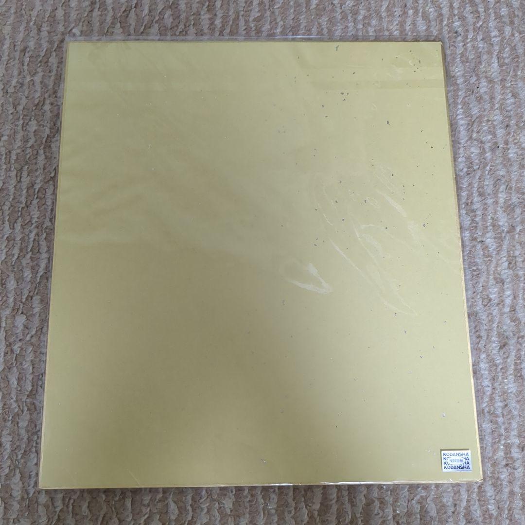 フェアリーテイル これくしょんパーク ルーシィ 色紙 グッズ