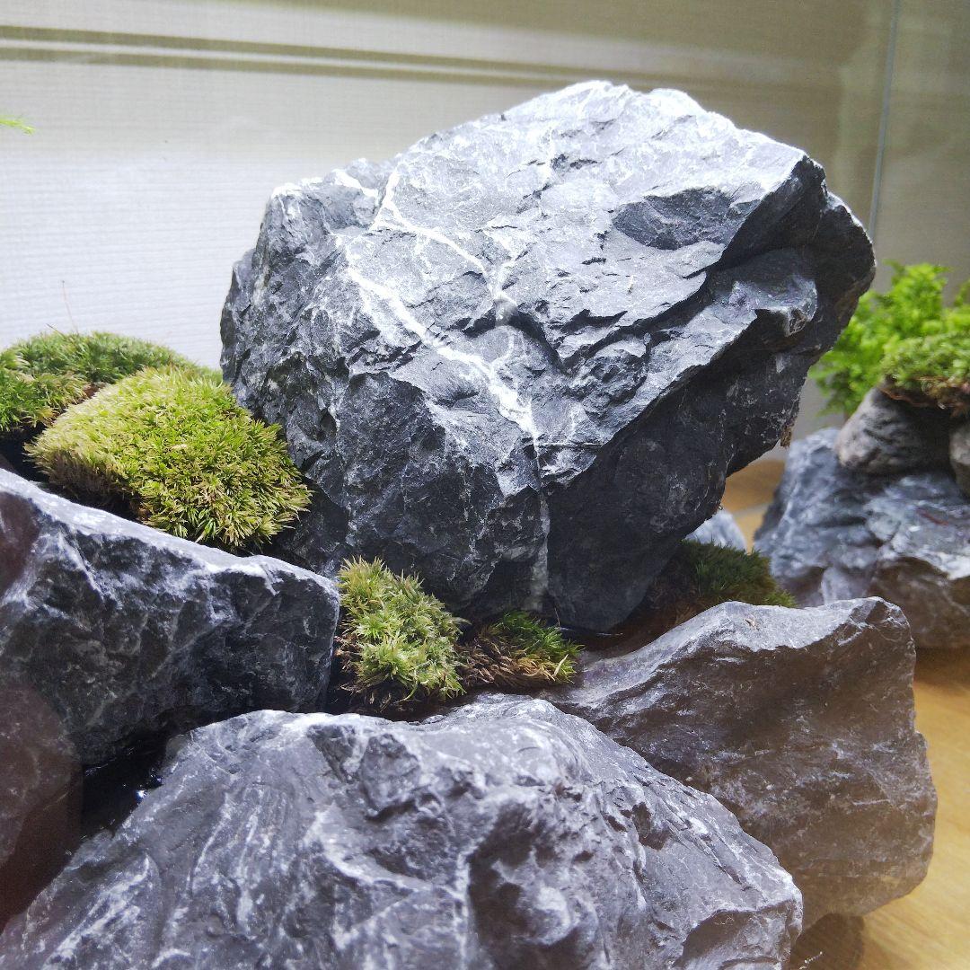 【完成品】アクアテラリウム　イモリウム　苔テラリウム