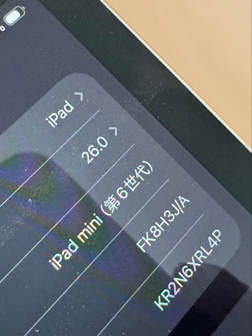 iPad mini 第6世代 本体　256gb cellular