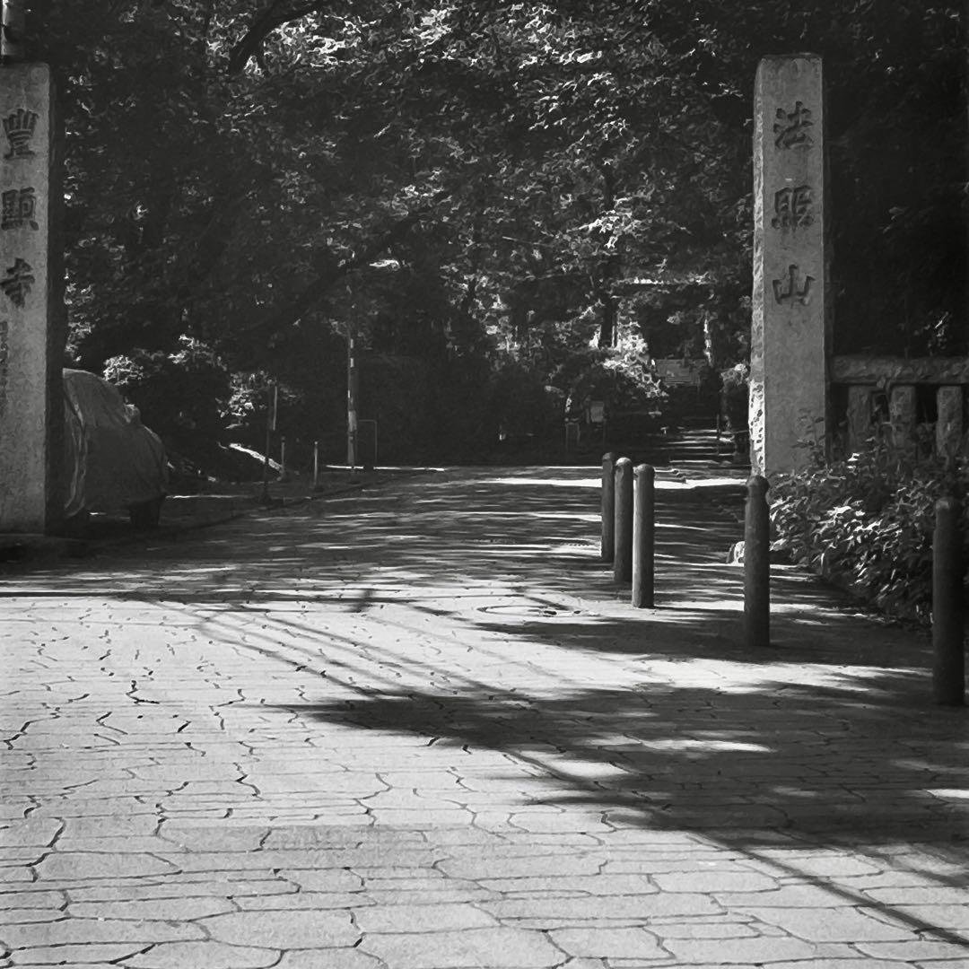 Kodak No.1 Pocket Autographic動作確認済み