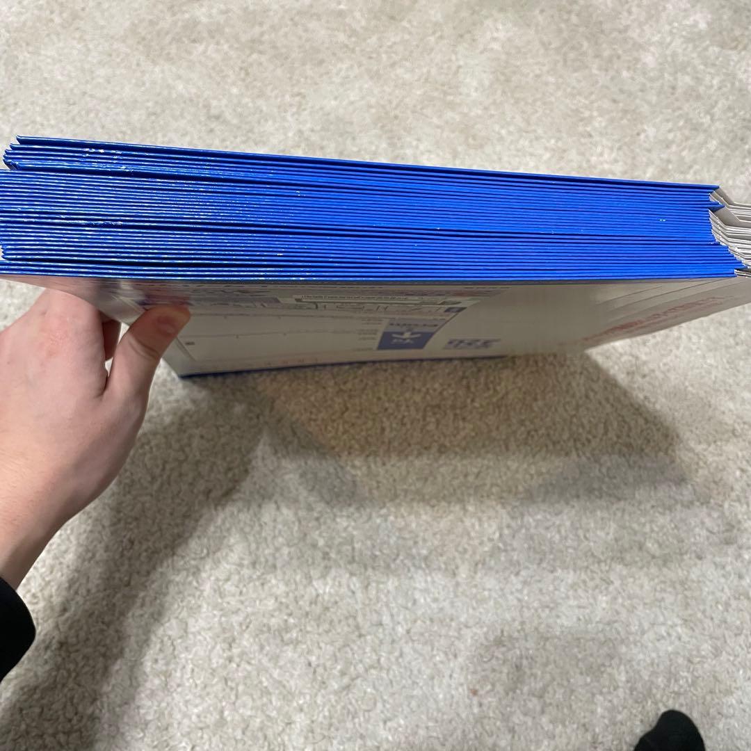 レターパックライト370 31枚セット