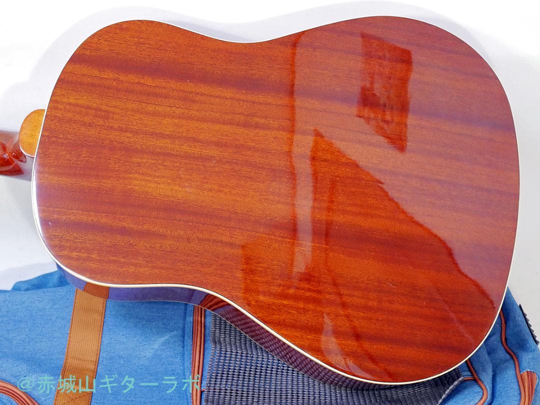 Epiphone INSP. by TEXAN 2010年製★ソフトケース付