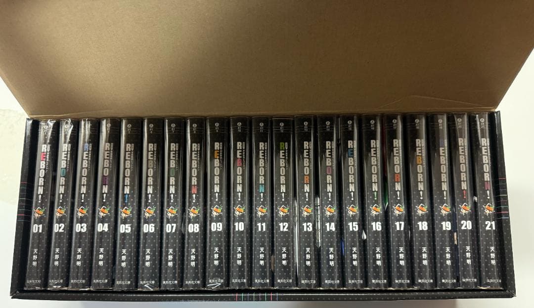 新春セール★未使用 家庭教師ヒットマンREBORN! 文庫版 BOX付