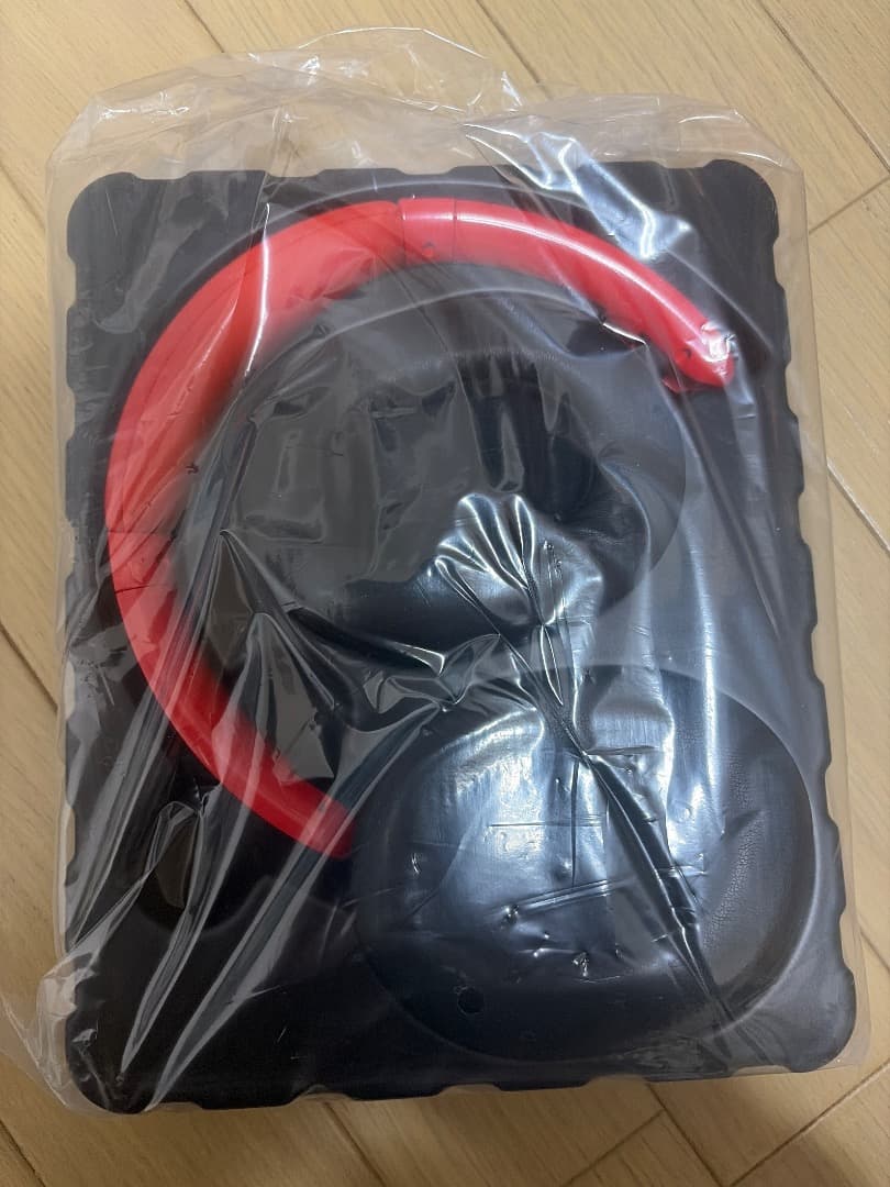 バズリズム2025 イヤホン ヘッドホンセット