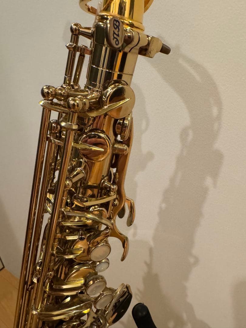 管楽器・吹奏楽器 Alto Saxophone H.SELMER SERIEIII GPT
