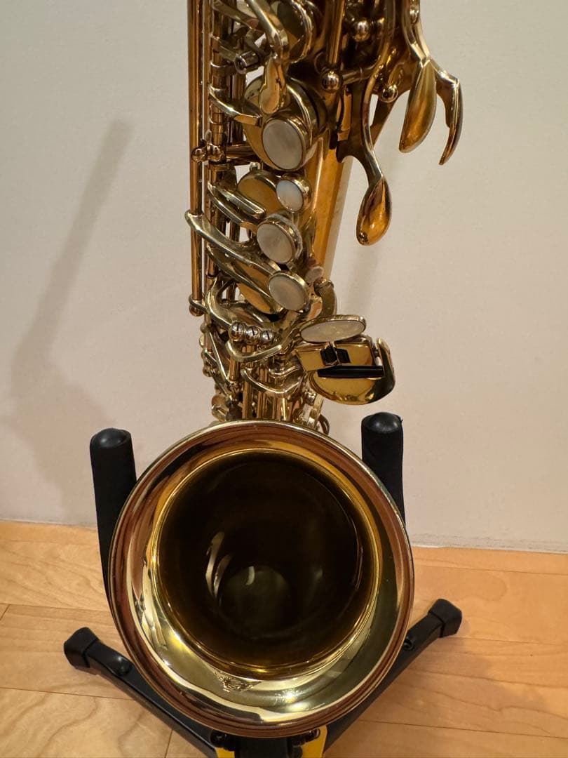 管楽器・吹奏楽器 Alto Saxophone H.SELMER SERIEIII GPT