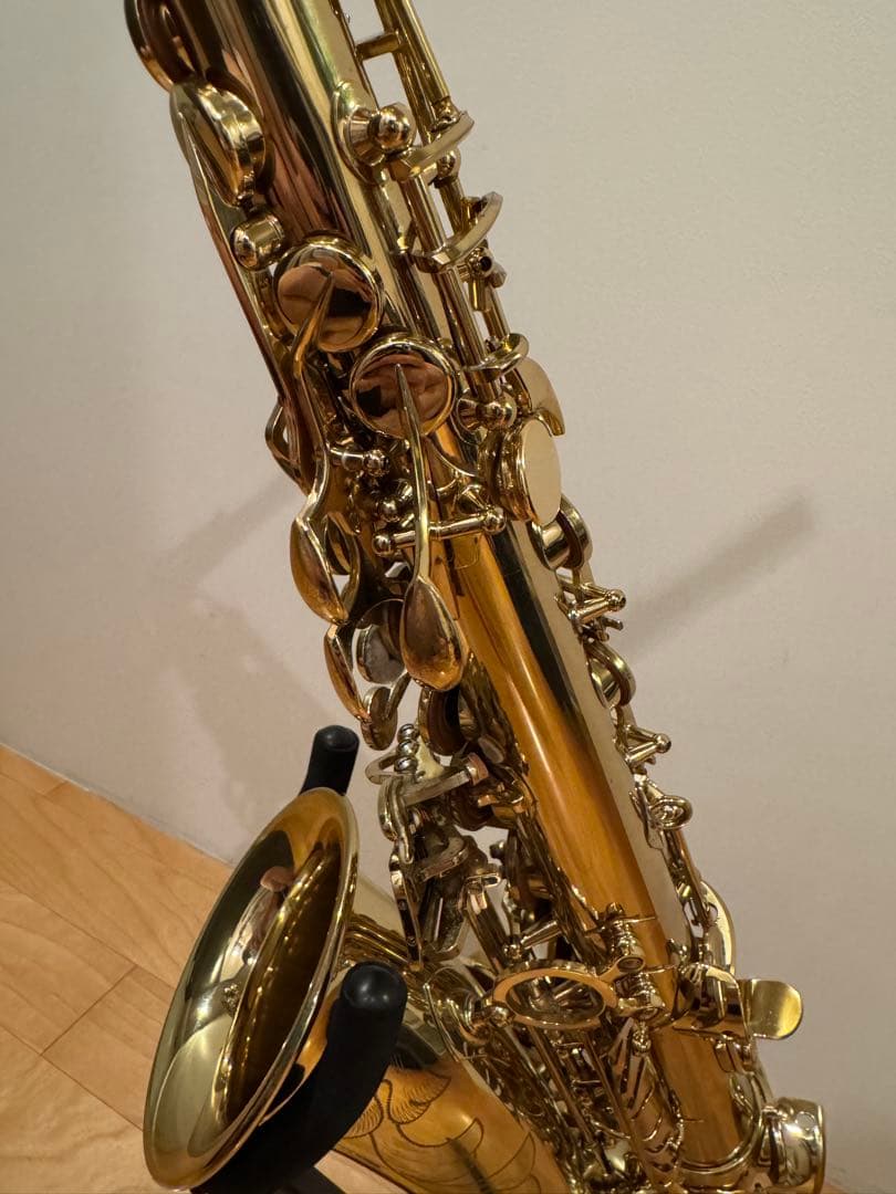 管楽器・吹奏楽器 Alto Saxophone H.SELMER SERIEIII GPT