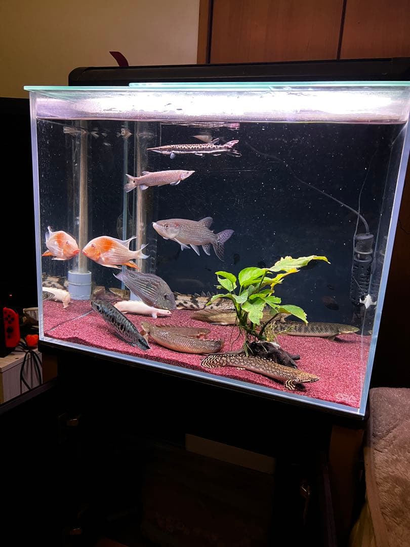 600×450×450 オーバーフロー水槽 フルセット