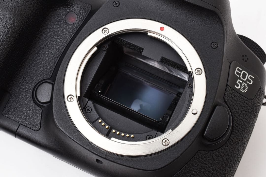 フルサイズCanon EOS 5D MarkIII標準&望遠ダブルレンズセット