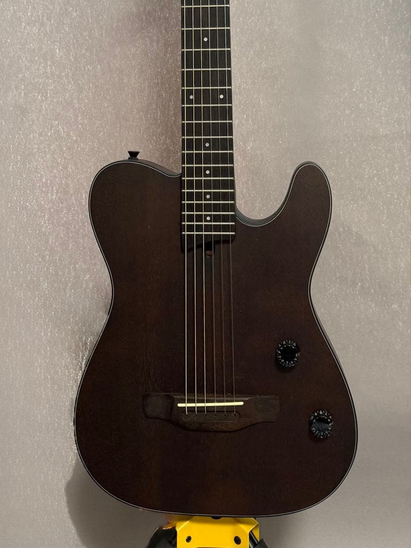 Nylon Electric Guitar　サイレントソリッドエレガット