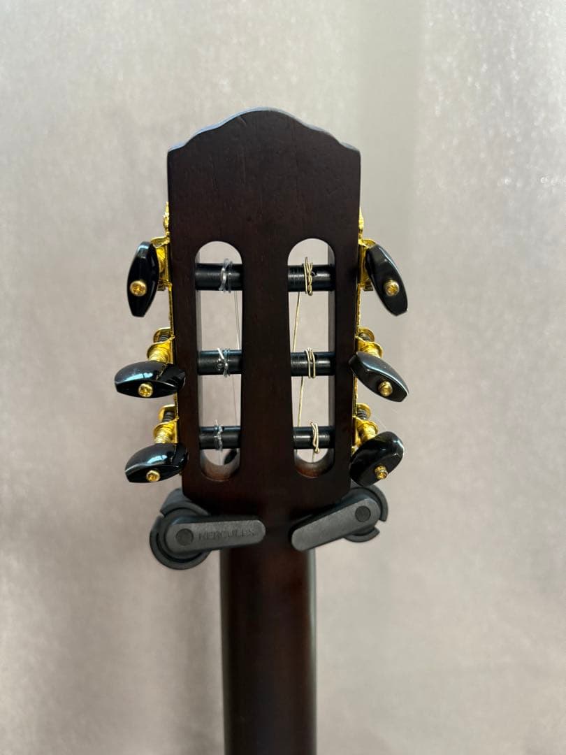 Nylon Electric Guitar　サイレントソリッドエレガット