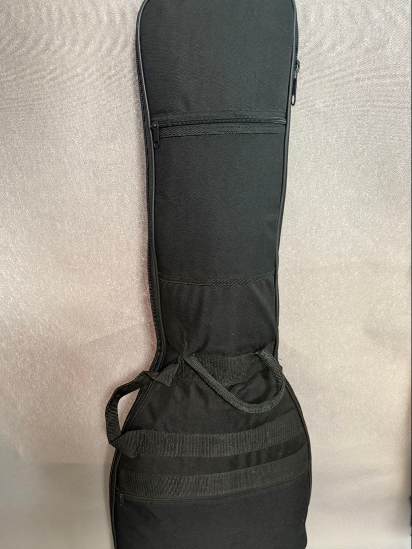 Nylon Electric Guitar　サイレントソリッドエレガット