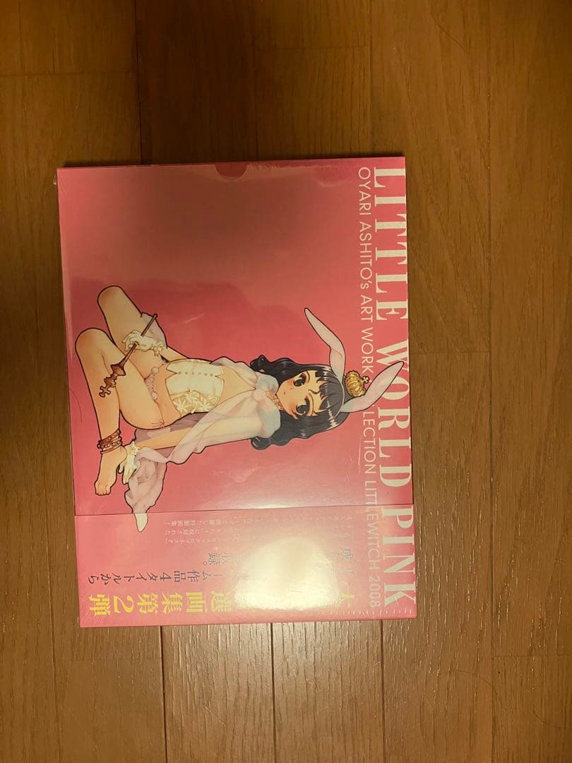 LITTLE WORLD PINK 大槍葦人 アート集 未開封品