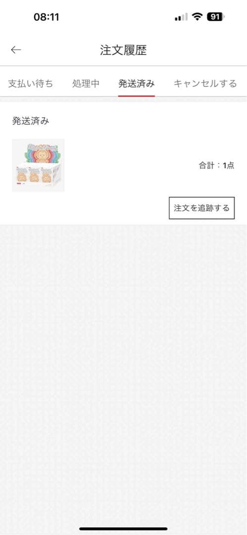 ぬいぐるみ LABUBU THE MONSTERS Big into Energy