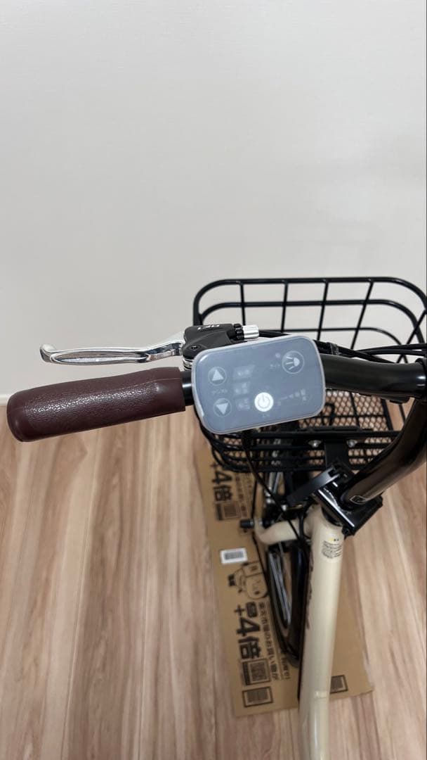 PELTECH ペルテック TDN-212L 電動アシスト自転車