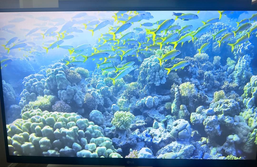 葵LG モニター ディスプレイ 27UL850-W 27インチ 4K