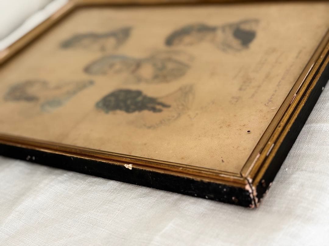 フランス　蚤の市　額　フレーム　壁掛け　ブロカント