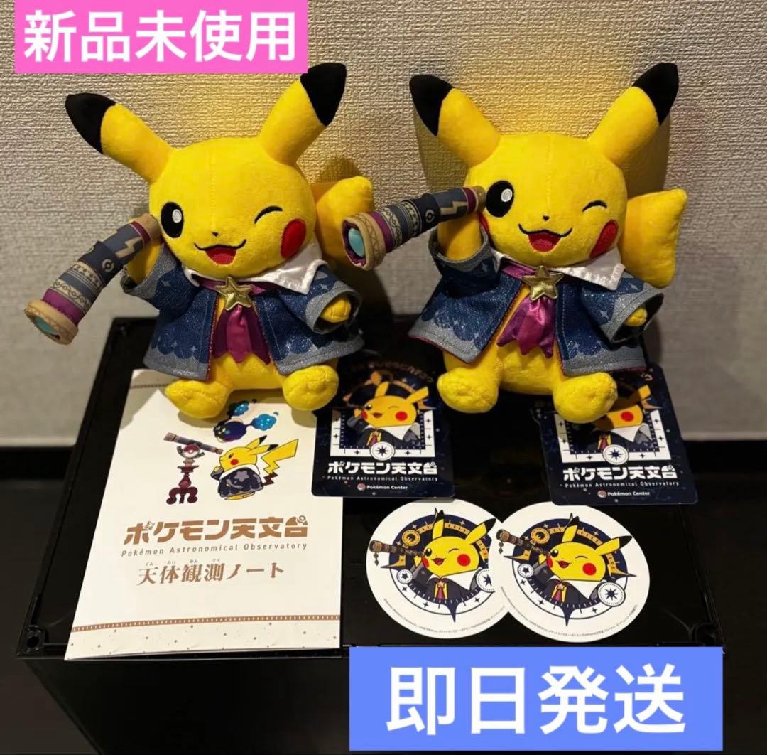 ポケモン天文台　限定　ほしぞらピカチュウ　2体　ぬいぐるみ