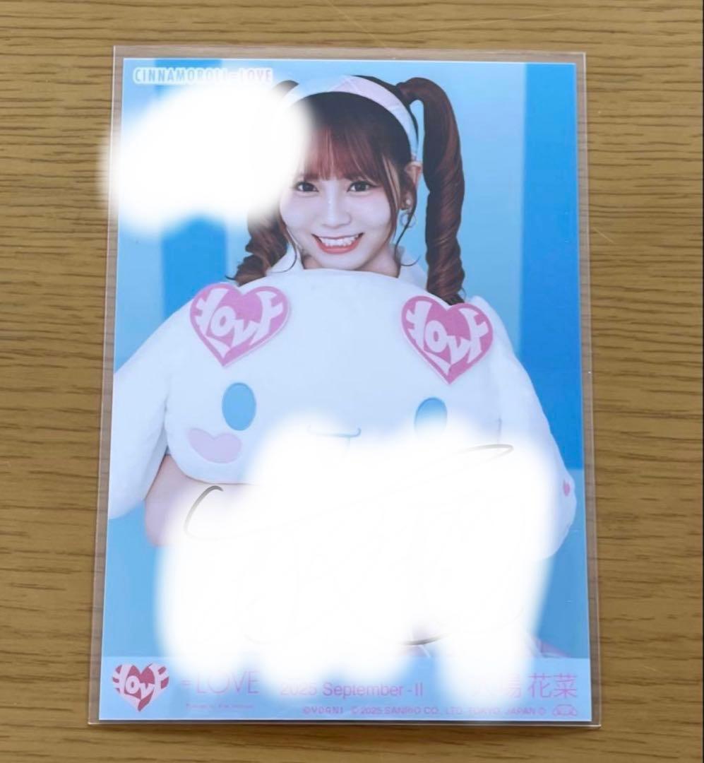 イコラブ　大場花菜　シナモン　直筆　イラあり