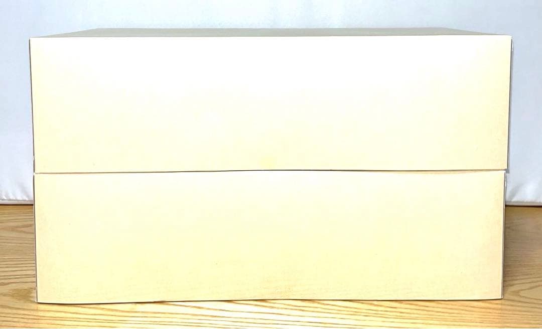 【2台セット】新品未開封　タミヤ　ライキリGT スペアボディセット