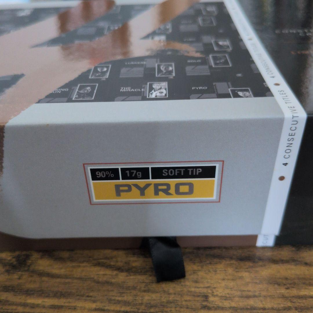 ジャパン コンストラクターズ チャンピオン 2019 パイロ 星野光正モデル