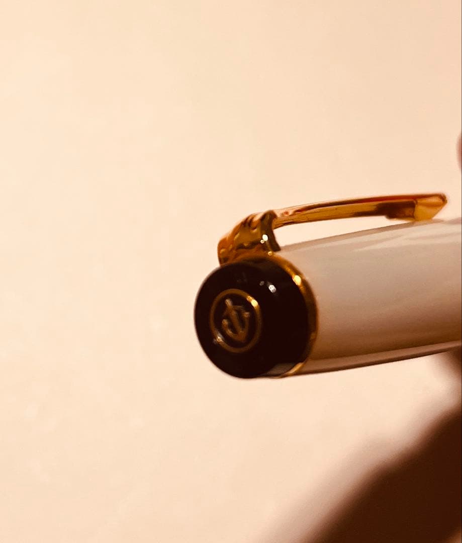 Sailor 万年筆「名月」MF（セーラー純正インクカートリッジ9個付き）