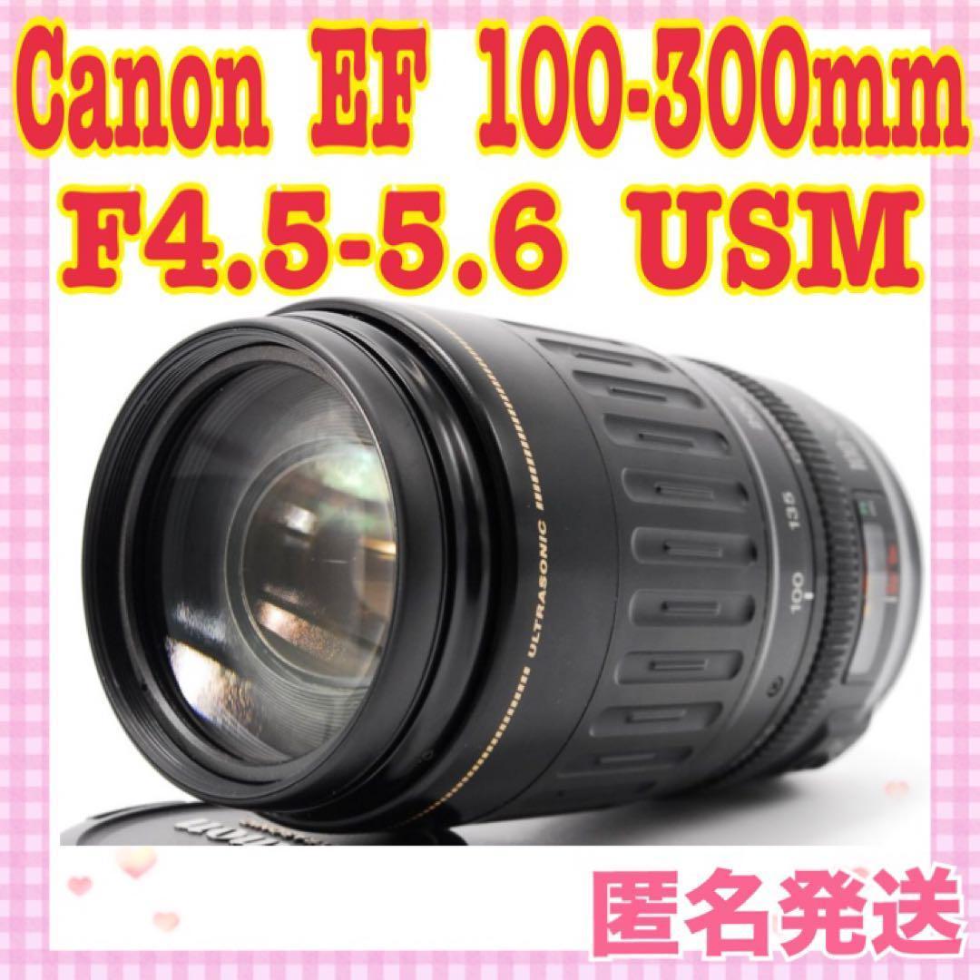 大人気❤️望遠レンズ❤️Canon キャノン　EF 100-300mm USM✨