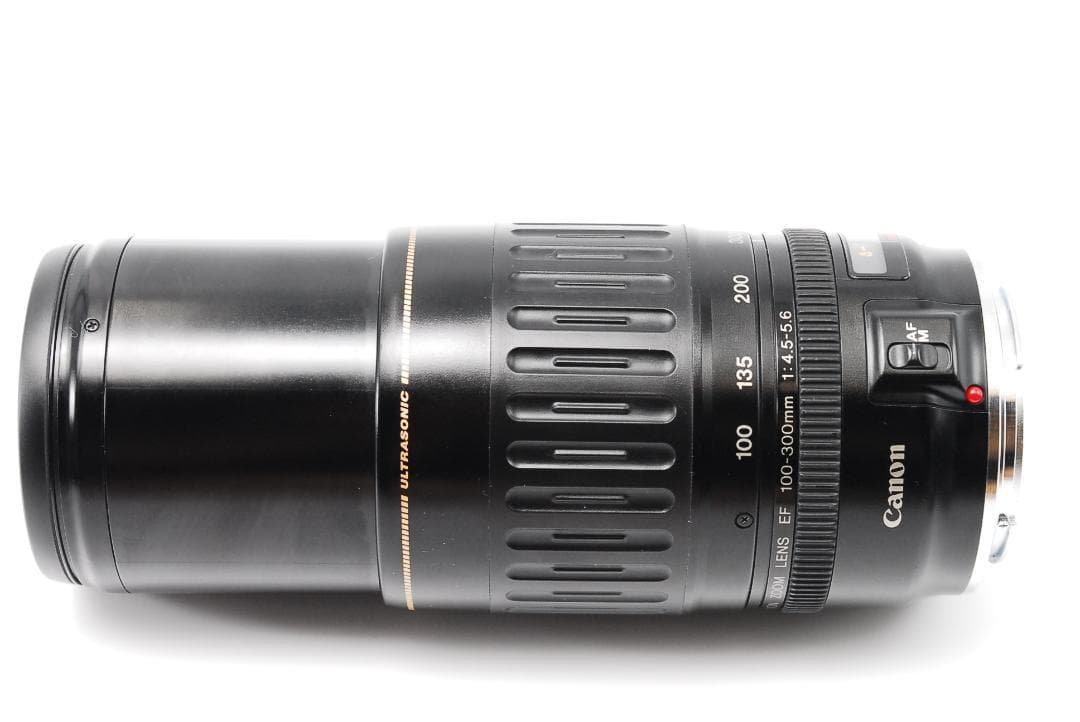大人気❤️望遠レンズ❤️Canon キャノン　EF 100-300mm USM✨