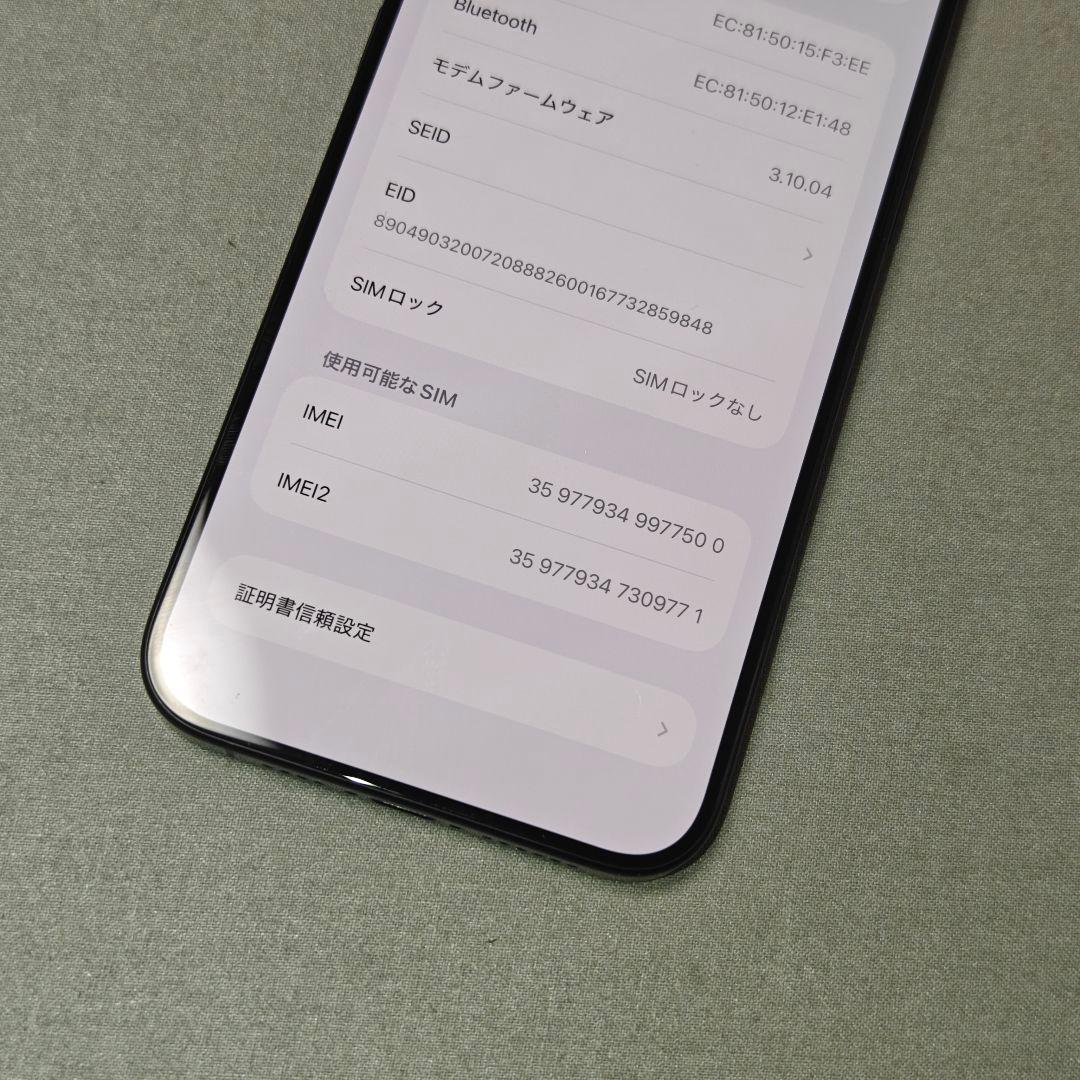 Apple iPhone 15 Pro Max 256GB ブルーチタ