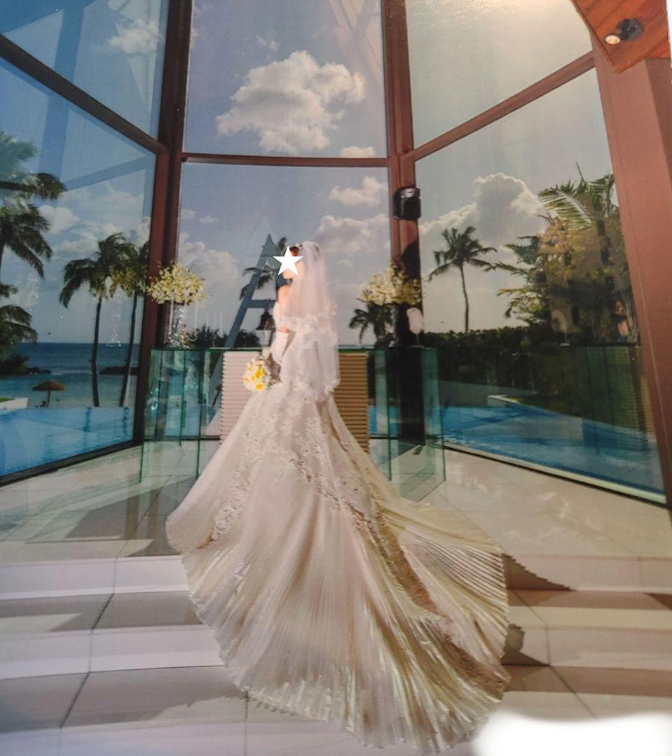 ウェディングドレス、小物色々セット/ワタベウェディング