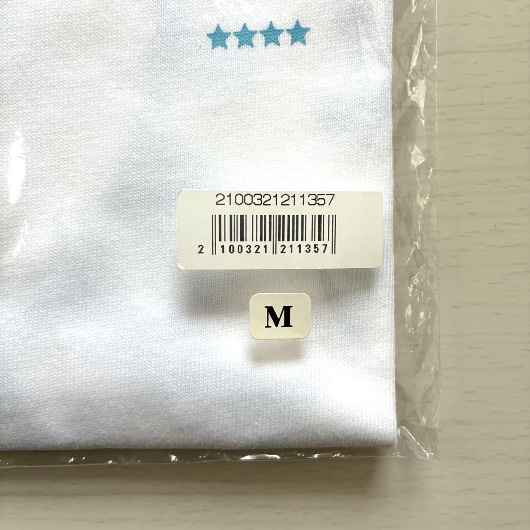 BUMP OF CHICKEN VERDYコラボグッズ 2点