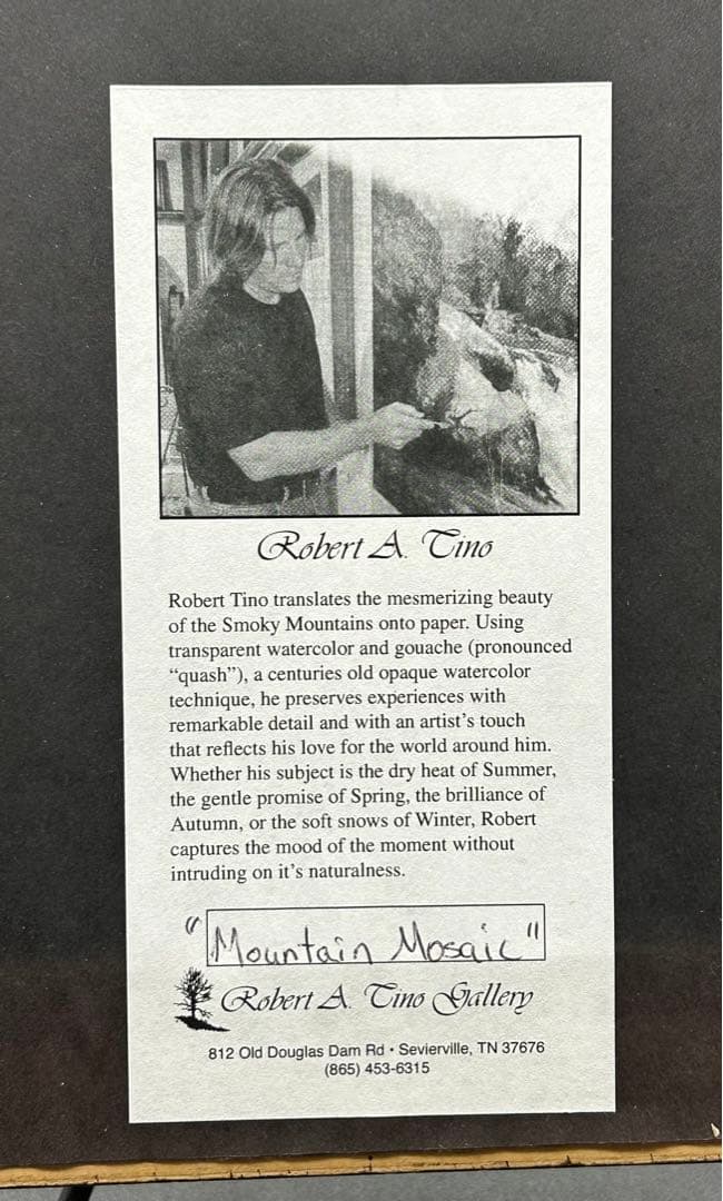 絵画　【Mountain Mosaic】　ロバート・A・ティノ