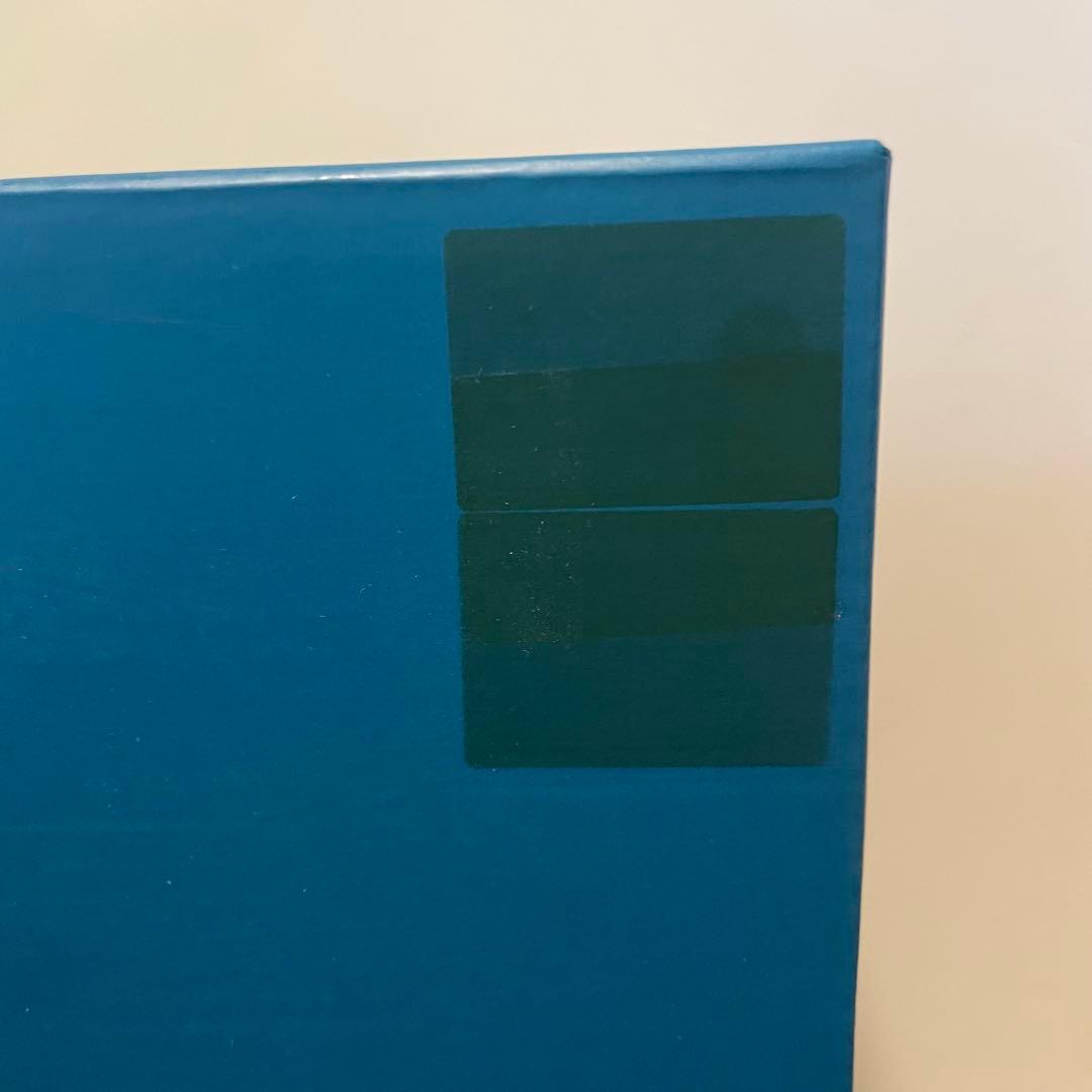 RAH リアルアクションヒーローズ シン・仮面ライダー サイクロン号 未開封品