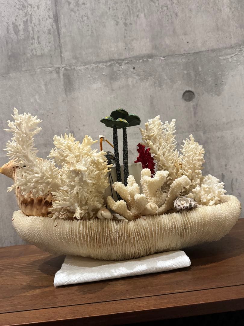 白珊瑚天然　オブジェ　アクアリウム　インテリア　デコレーション サンゴ