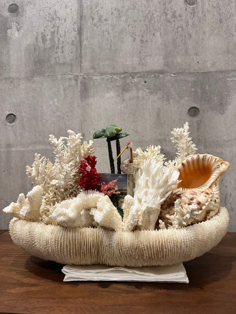 白珊瑚天然　オブジェ　アクアリウム　インテリア　デコレーション サンゴ
