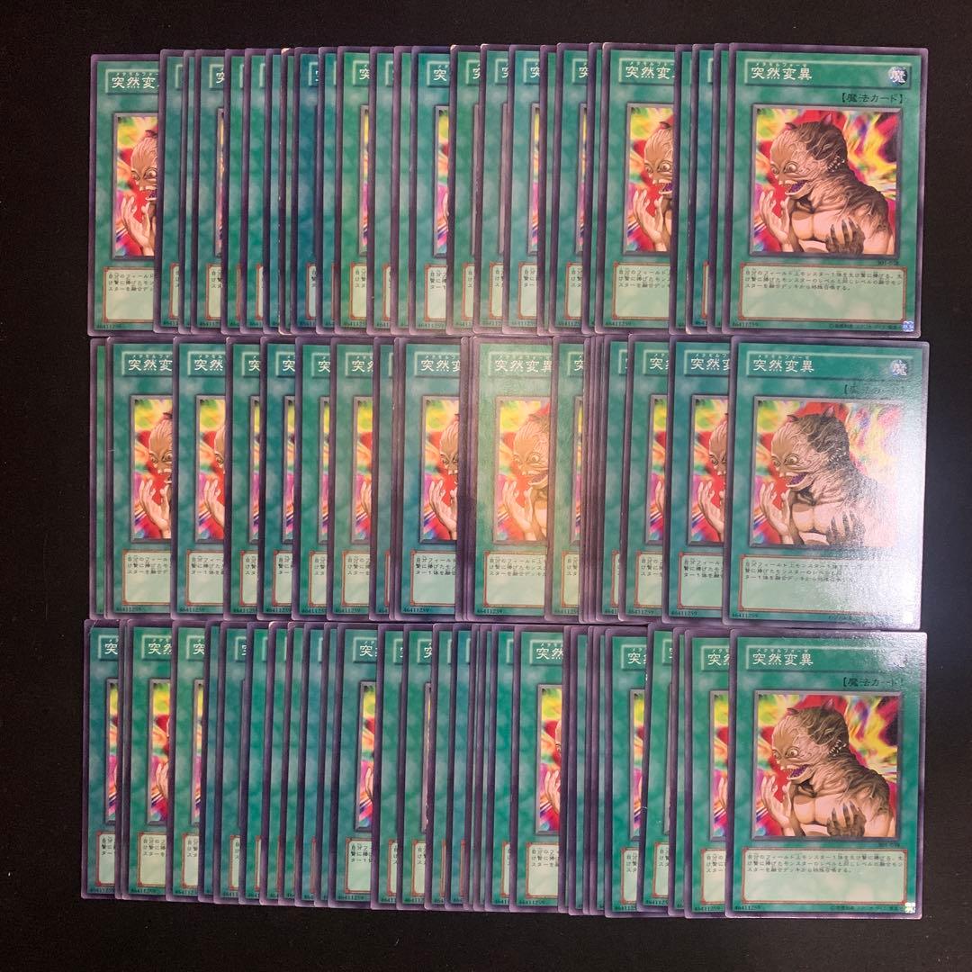 No.15912 突然変異　ノーマル　80枚