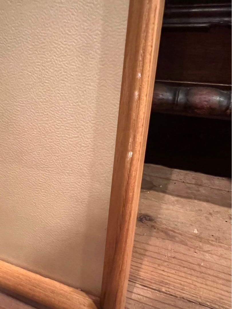 ピエール・モロ ノートルダムとブキニスト パリ 額縁 アート インテリア