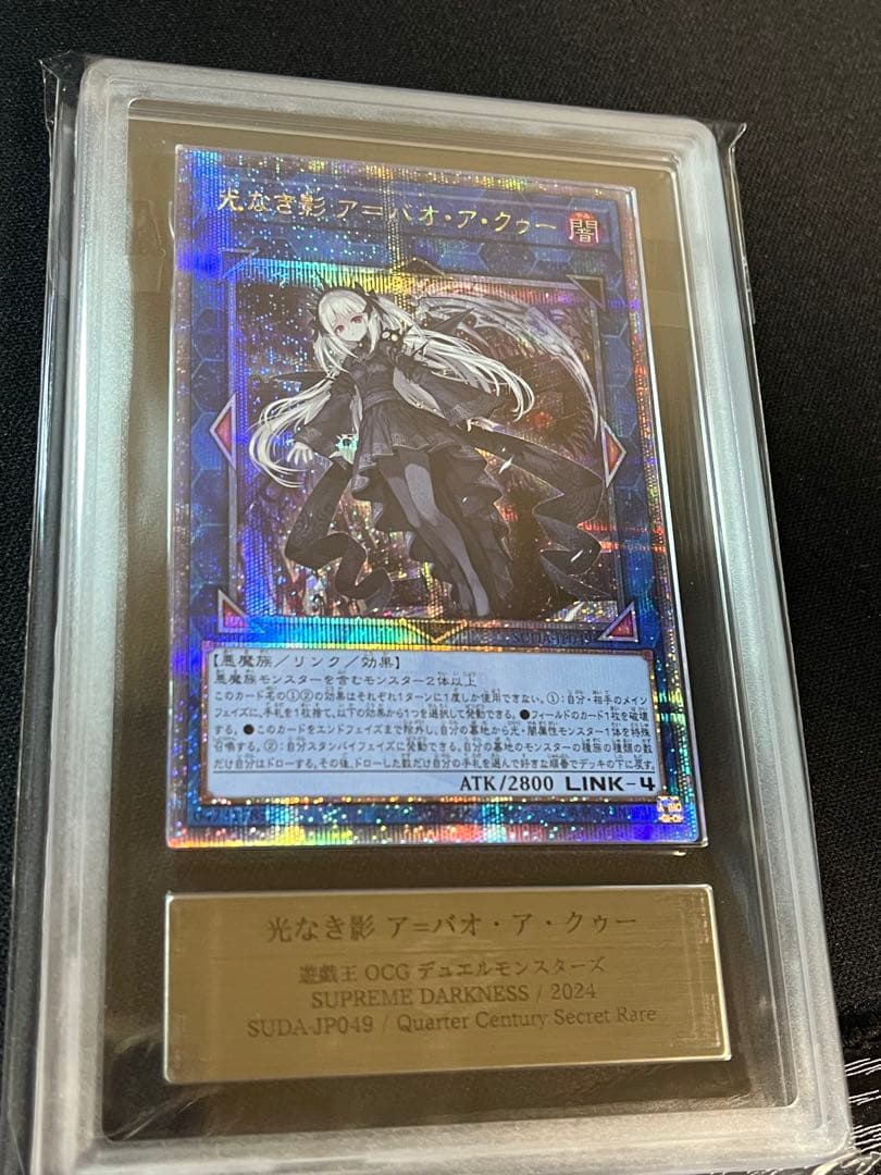 光なき影　ア＝バオ・ア・クゥー　25th ARS10