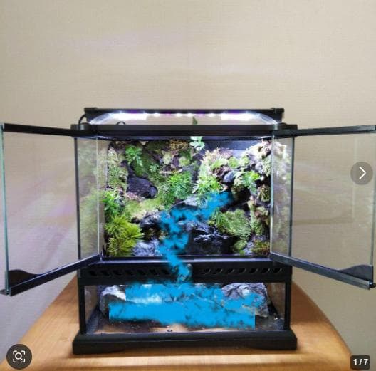 【受注生産】グラステラリウム3030　イモリウム　苔テラリウム　アクアテラリウム