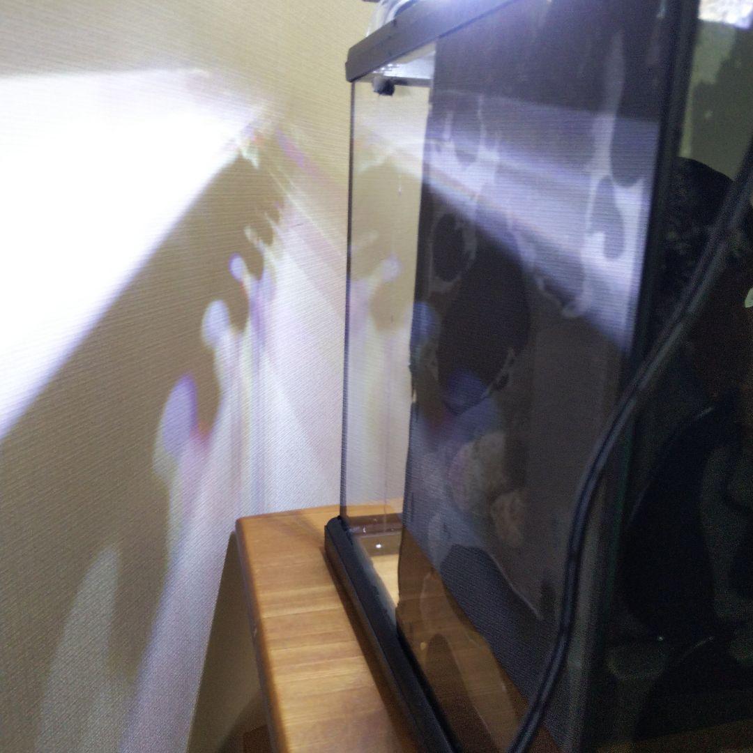 【受注生産】グラステラリウム3030　イモリウム　苔テラリウム　アクアテラリウム