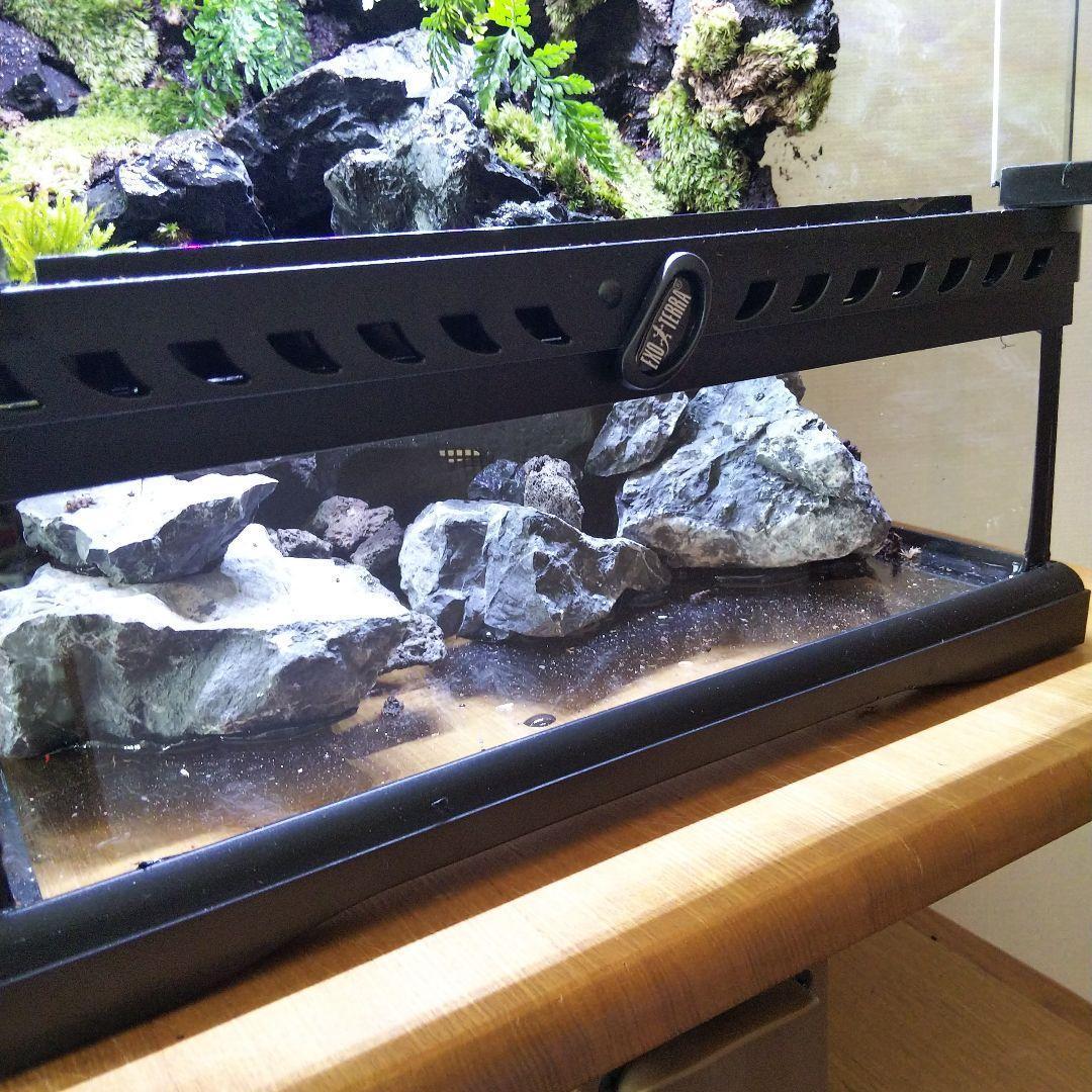 【受注生産】グラステラリウム3030　イモリウム　苔テラリウム　アクアテラリウム