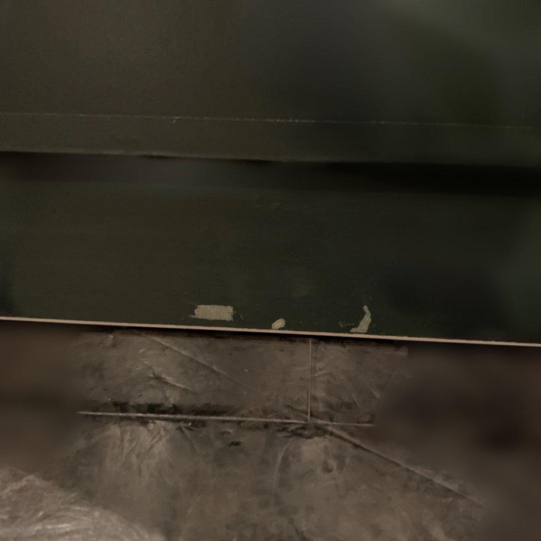 ピエール＝オーギュスト・ルノワール 「春の絵」 X-34