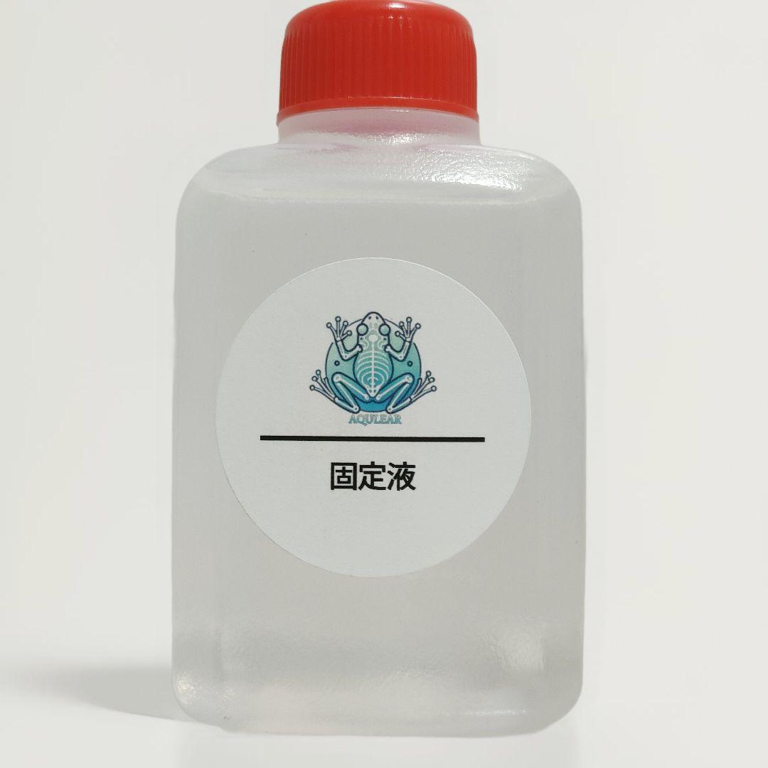 【透明標本作製キット】薬液のみ 全9種類 11点