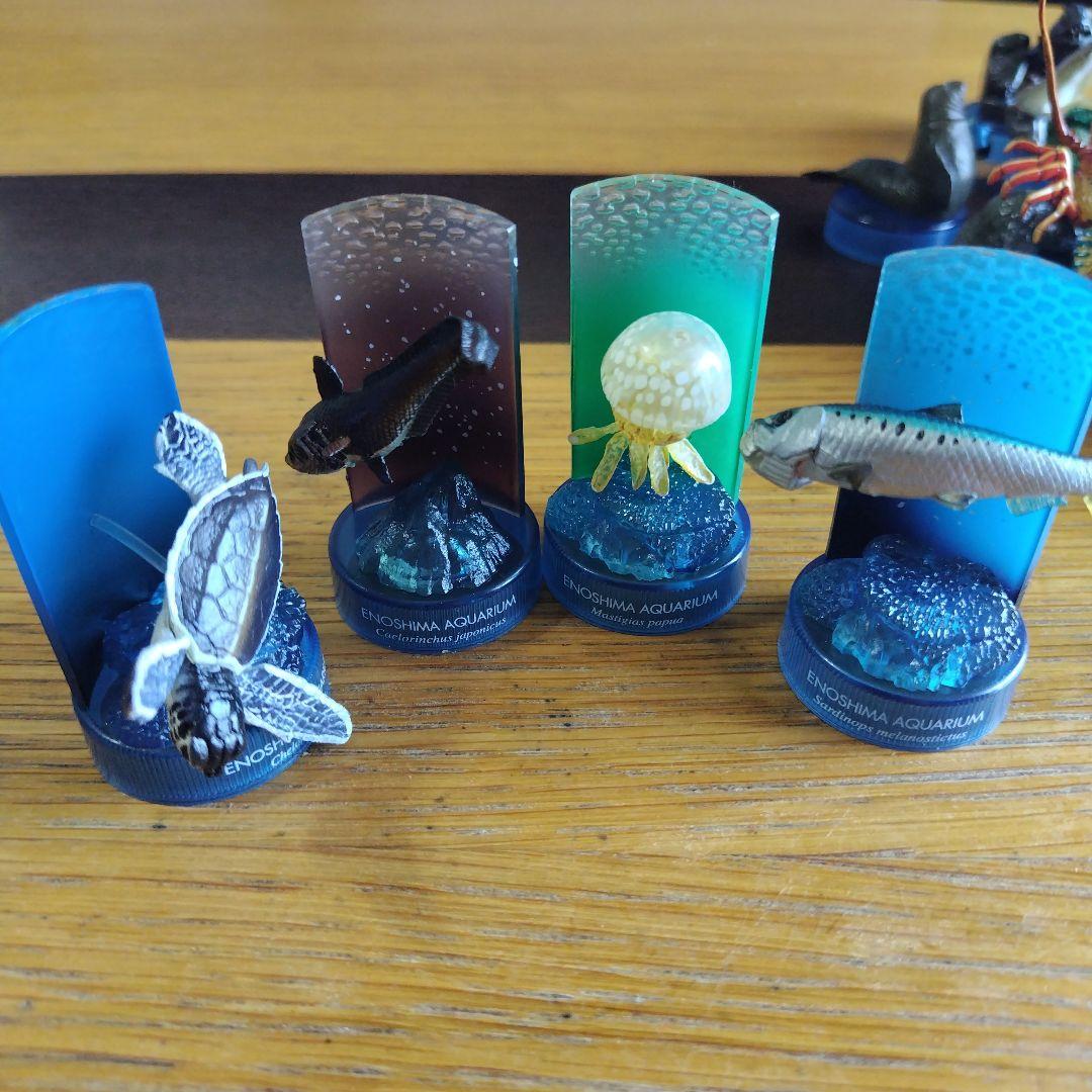 土日値下げ江の島水族館 海洋生物1、 2全フィギュア29種フルコンプセット
