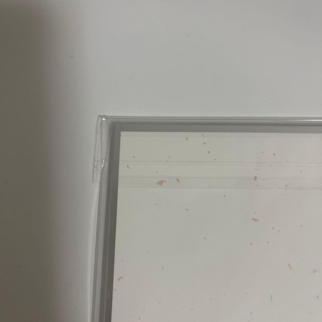 鬼滅の刃 アクリル原画色紙 A6 時透無一郎