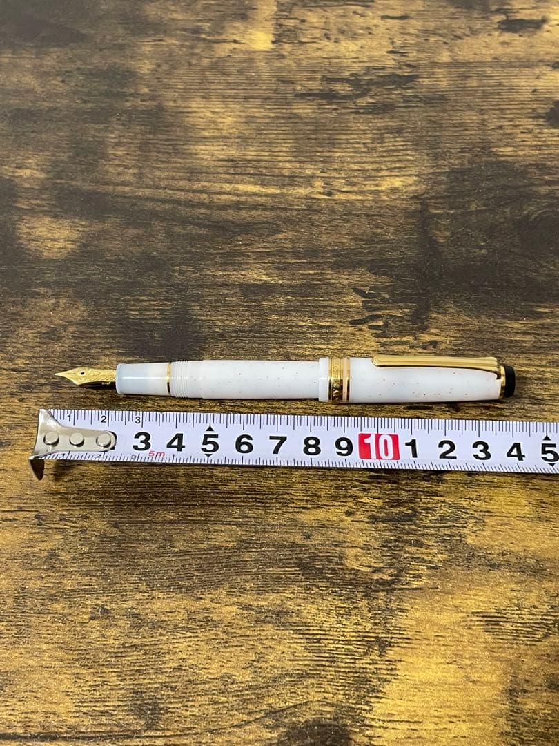 試筆のみ　四季織　雪椿　万年筆　MF セーラー　万年筆　コンバーター＆ケース付き