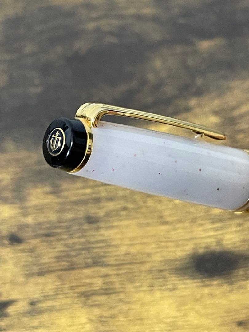 試筆のみ　四季織　雪椿　万年筆　MF セーラー　万年筆　コンバーター＆ケース付き