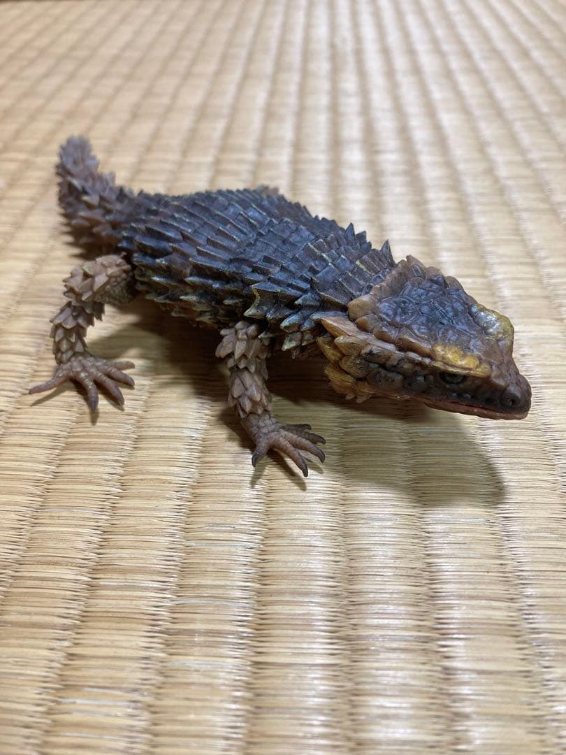 いきもの大図鑑　アルマジロトカゲ コンプリート　4種