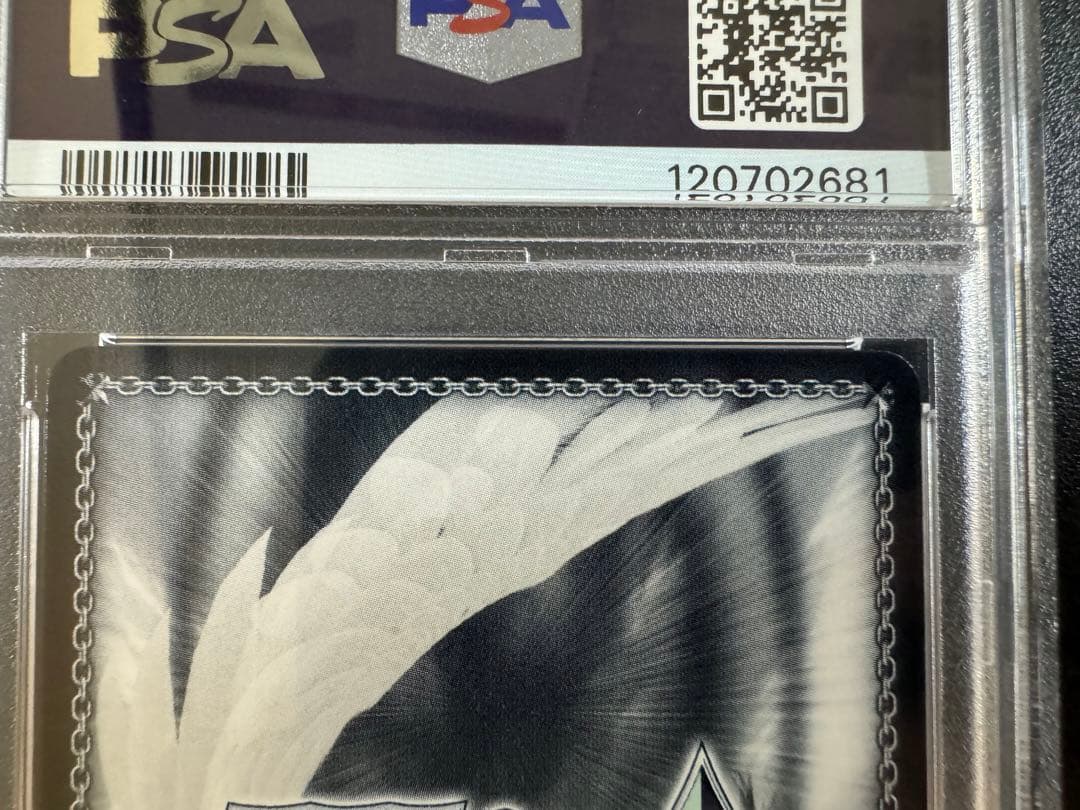 ヴァイスシュヴァルツ お家にお邪魔します…！　猫又おかゆ